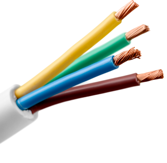Twin & earth cable